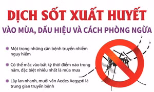 Dịch sốt xuất huyết vào mùa, dấu hiệu và cách phòng ngừa