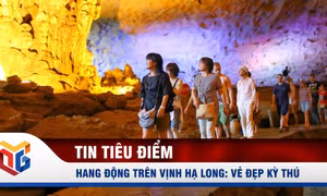 Hang động trên vịnh Hạ Long: Vẻ đẹp kỳ thú