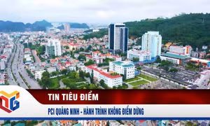 PCI Quảng Ninh - Hành trình không điểm dừng