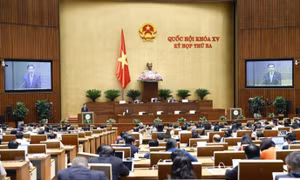Ngày 24/5, Quốc hội tiếp tục thảo luận về nhiều nội dung quan trọng