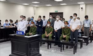 Nguyên Tổng Giám đốc VEAM bị tuyên phạt 11 năm tù