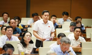 Họp QH: Quy định cụ thể hơn quyền hạn của lực lượng cảnh sát cơ động