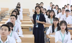 Viên chức chuyển công tác có phải tập sự lại?
