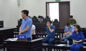 Điều tra bổ sung vụ án lừa đảo tại Công ty chứng khoán SMES