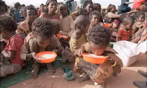 AfDB viện trợ 1,5 tỷ USD giúp châu Phi chống lại khủng hoảng lương thực