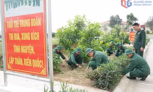 Lực lượng vũ trang tỉnh hướng về ngày hội non sông