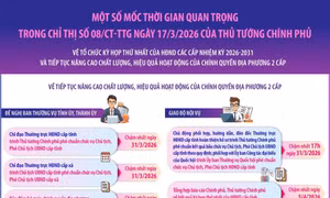 Chỉ thị số 08/CT-TTg về tổ chức kỳ họp thứ nhất HĐND các cấp nhiệm kỳ 2026-2031