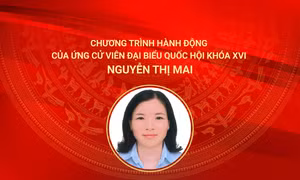 Chương trình hành động của ứng cử viên đại biểu Quốc hội khoá XVI Nguyễn Thị Mai