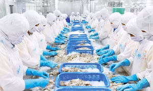 Giữ vững đà tăng xuất khẩu