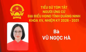 Tiểu sử ứng cử viên đại biểu HĐND tỉnh khóa XV Vũ Ngọc Hà