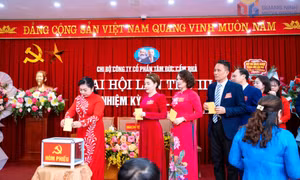 Phát triển Đảng trong doanh nghiệp tư nhân