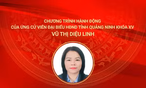Chương trình hành động của ứng cử viên đại biểu HĐND tỉnh Quảng Ninh khóa XV Vũ Thị Diệu Linh