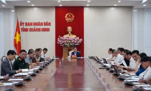 Tập trung tháo gỡ khó khăn, đảm bảo tiến độ triển khai các dự án trọng điểm