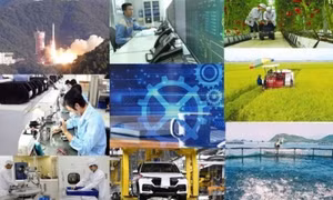 Triển khai Phong trào thi đua “Đổi mới sáng tạo, phát triển khoa học, công nghệ, chuyển đổi số, chuyển đổi xanh”