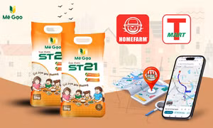 Mua gạo ST21 ở đâu tại Hà Nội? Uy tín, Giao nhanh