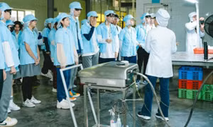 Căn cứ xét chuyển vị trí việc làm đối với viên chức