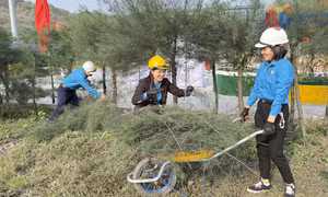 Giữ màu xanh từ trong dây chuyền sản xuất