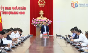 Bàn giải pháp đẩy mạnh cung cấp điện trong các khu công nghiệp