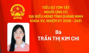 Tiểu sử ứng cử viên đại biểu HĐND tỉnh khóa XV Trần Thị Kim Chi