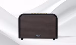 Top loa kéo, loa karaoke siêu êm, xài bền, đáng mua năm nay