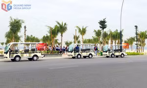 Đưa dịch vụ xe điện thành sản phẩm du lịch 