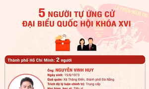 Năm người tự ứng cử đại biểu Quốc hội khóa XVI