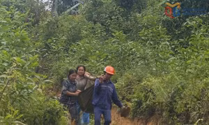 Khai thác keo dưới đường dây 110kV, hai người bị thương nặng do phóng điện