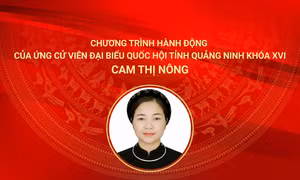 Chương trình hành động của ứng cử viên đại biểu Quốc hội khóa XVI Cam Thị Nông