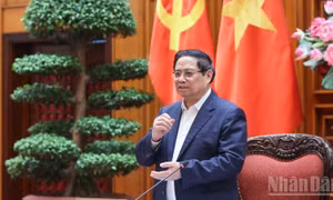 Đề xuất ứng nguồn tăng thu năm 2025 cho Quỹ bình ổn giá xăng dầu