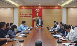 Triển khai đồng bộ giải pháp đảm bảo cung ứng xăng dầu phục vụ sản xuất, kinh doanh
