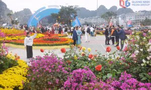 Du lịch khởi sắc ngay từ đầu năm