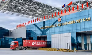 Tháo gỡ khó khăn, hỗ trợ doanh nghiệp nâng cao năng lực xuất nhập khẩu
