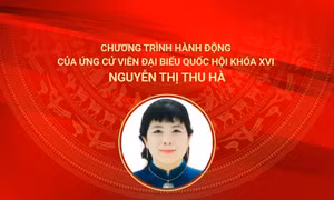 Chương trình hành động của ứng cử viên ĐBQH khóa XVI Nguyễn Thị Thu Hà