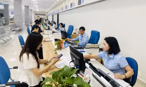 Xung kích, đi đầu trong chuyển đổi số