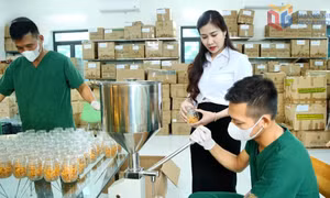 Khơi dậy khát vọng khởi nghiệp của phụ nữ Quảng Ninh