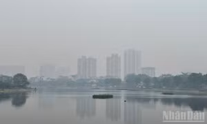 Thời tiết ngày 23/3: Bắc Bộ nhiều nơi có mưa và sương mù rải rác, Nam Bộ có nơi nắng nóng