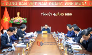 Ban Thường vụ Tỉnh ủy nghe và cho ý kiến đối với một số quy hoạch quan trọng