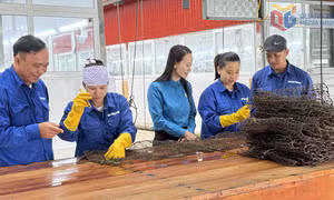 Nâng cao vai trò Công đoàn trong khu vực doanh nghiệp FDI