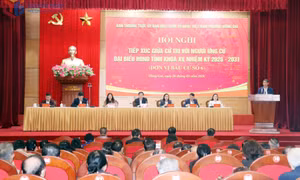 Ứng cử viên đại biểu HĐND tỉnh khóa XV tại đơn vị bầu cử số 6 tiếp xúc cử tri