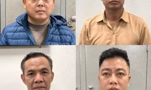 Bán thiên thạch giả, lừa đảo chiếm đoạt 11 tỉ đồng