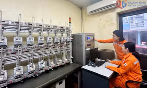 Điện lực Quảng Ninh tăng cường phúc tra chỉ số và dịch vụ khách hàng dịp Tết Nguyên đán 2026