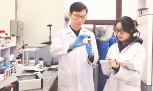 Làm chủ công nghệ plasma lạnh cho vật liệu nano