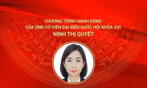 Chương trình hành động của ứng cử viên đại biểu Quốc hội khóa XVI Nịnh Thị Quyết