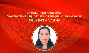 Chương trình hành động của ứng cử viên đại biểu HĐND tỉnh Quảng Ninh khóa XV Nguyễn Thị Vân Hà