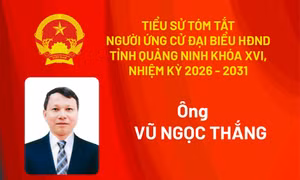 Tiểu sử ứng cử viên đại biểu HĐND tỉnh khóa XV Vũ Ngọc Thắng