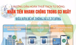 Hướng dẫn hoàn thuế thu nhập cá nhân tự động