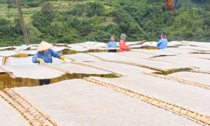 Xây dựng những vùng nguyên liệu tập trung