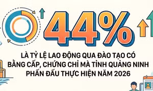 44% - là tỷ lệ lao động qua đào tạo có bằng cấp, chứng chỉ mà tỉnh Quảng Ninh phấn đấu thực hiện năm 2026