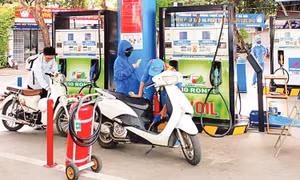 Sớm đưa xăng E10 tiêu thụ đồng loạt trên thị trường