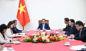 UAE sẽ hỗ trợ tối đa nhu cầu năng lượng trước mắt và lâu dài của Việt Nam